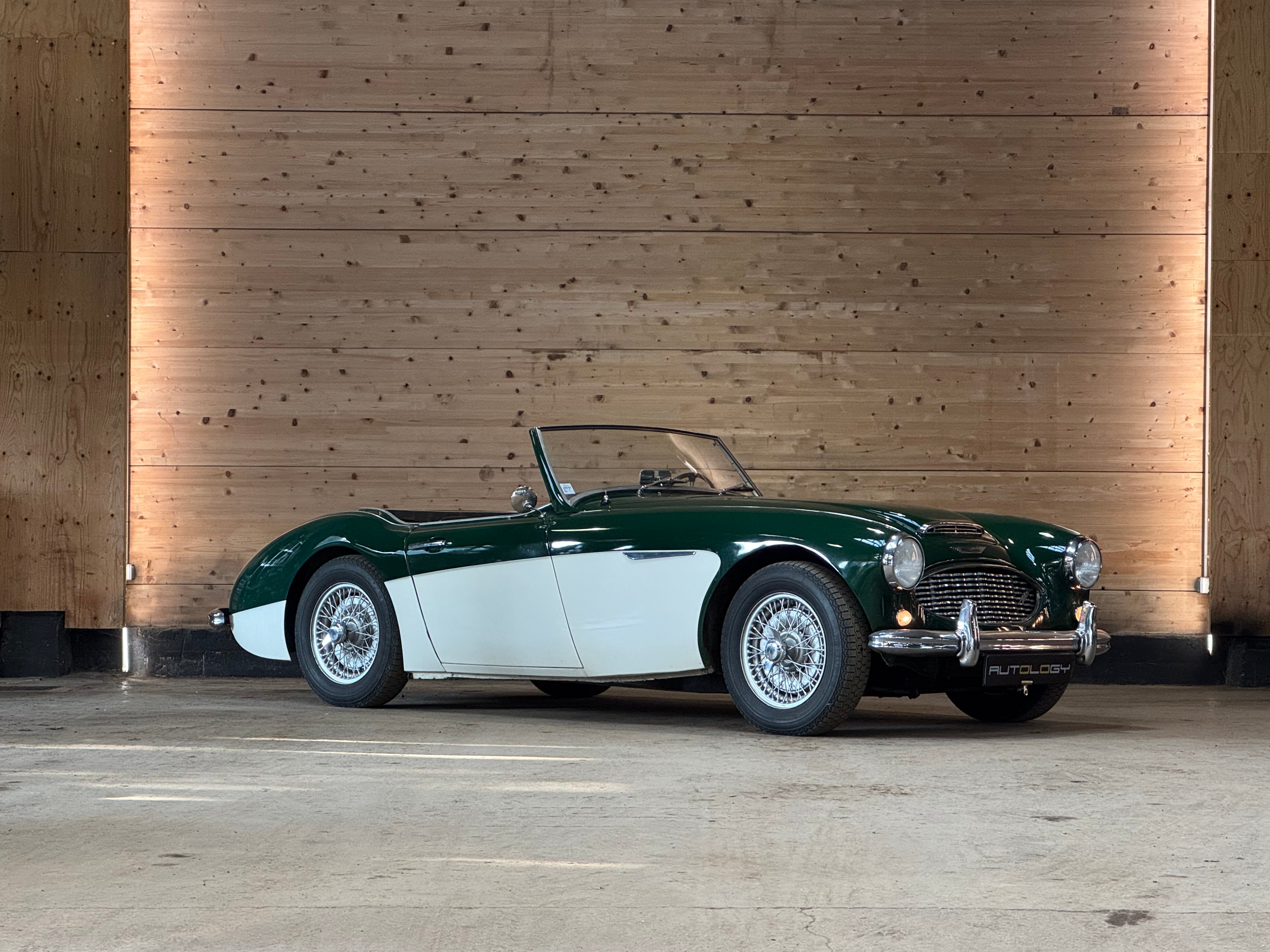 Austin Healey 100/6 BN4