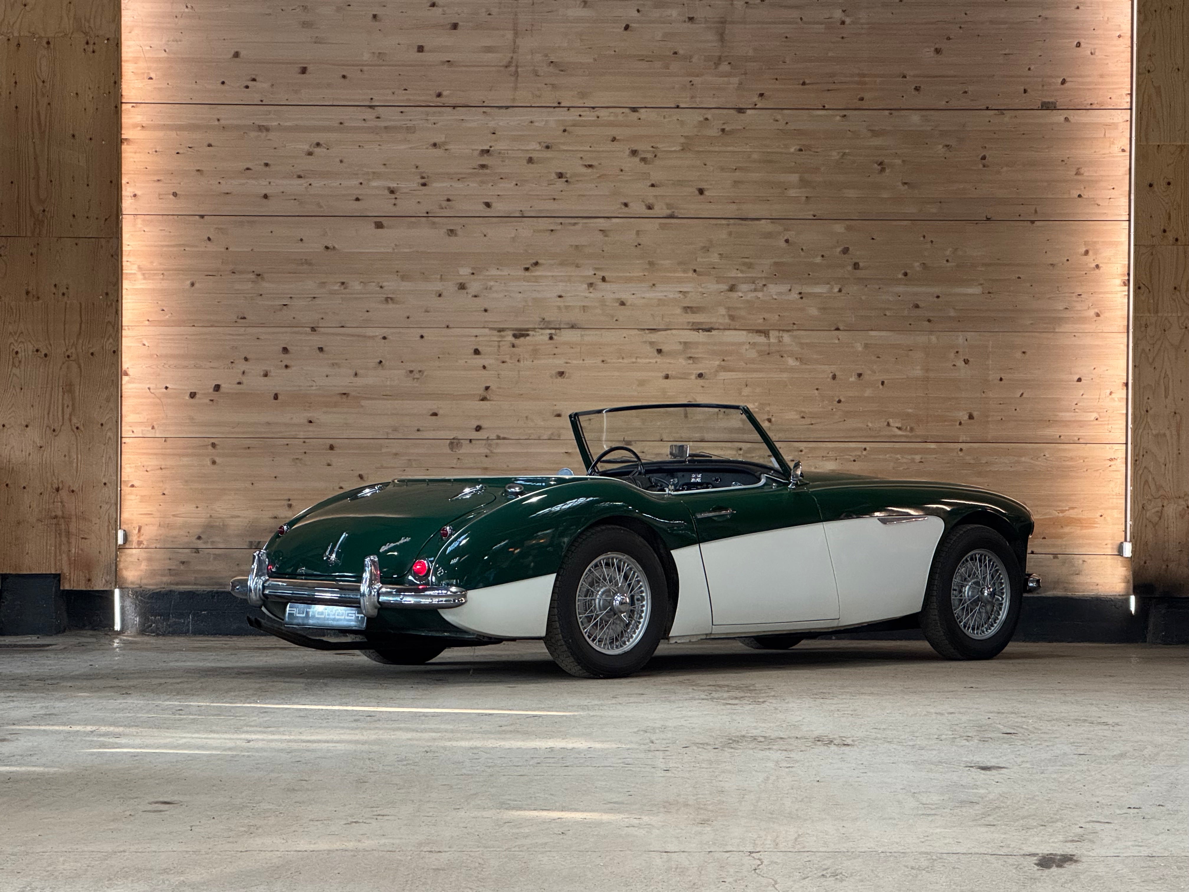 Austin Healey 100/6 BN4