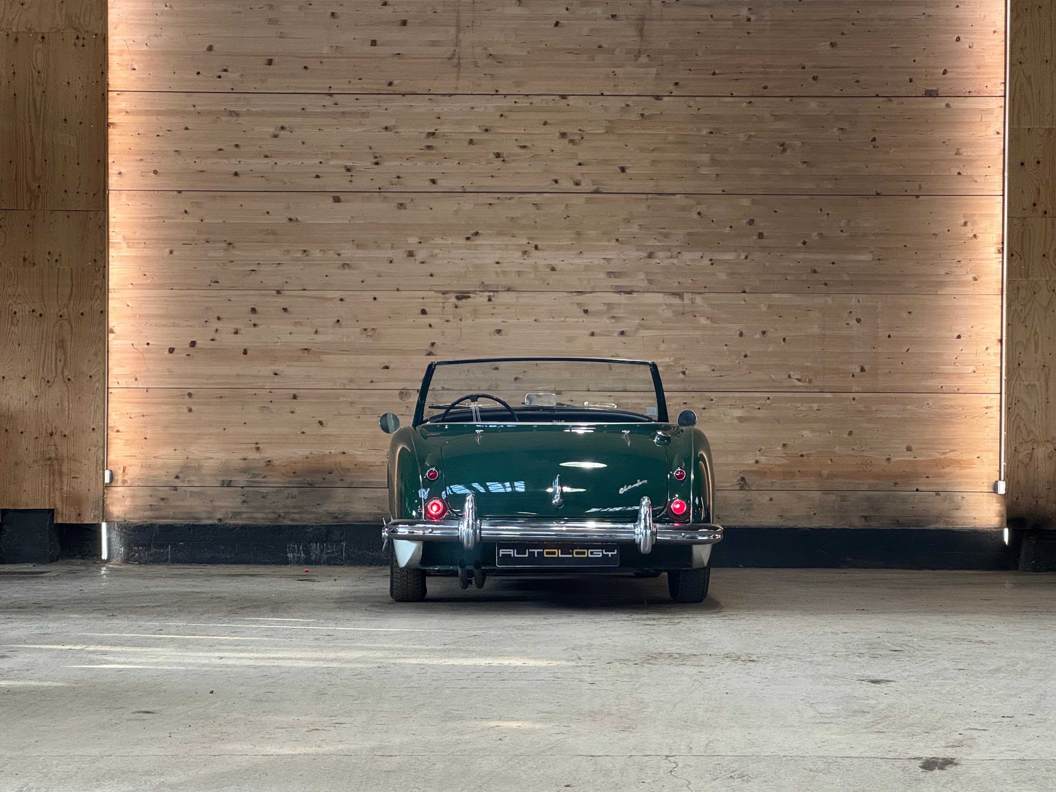 Austin Healey 100/6 BN4