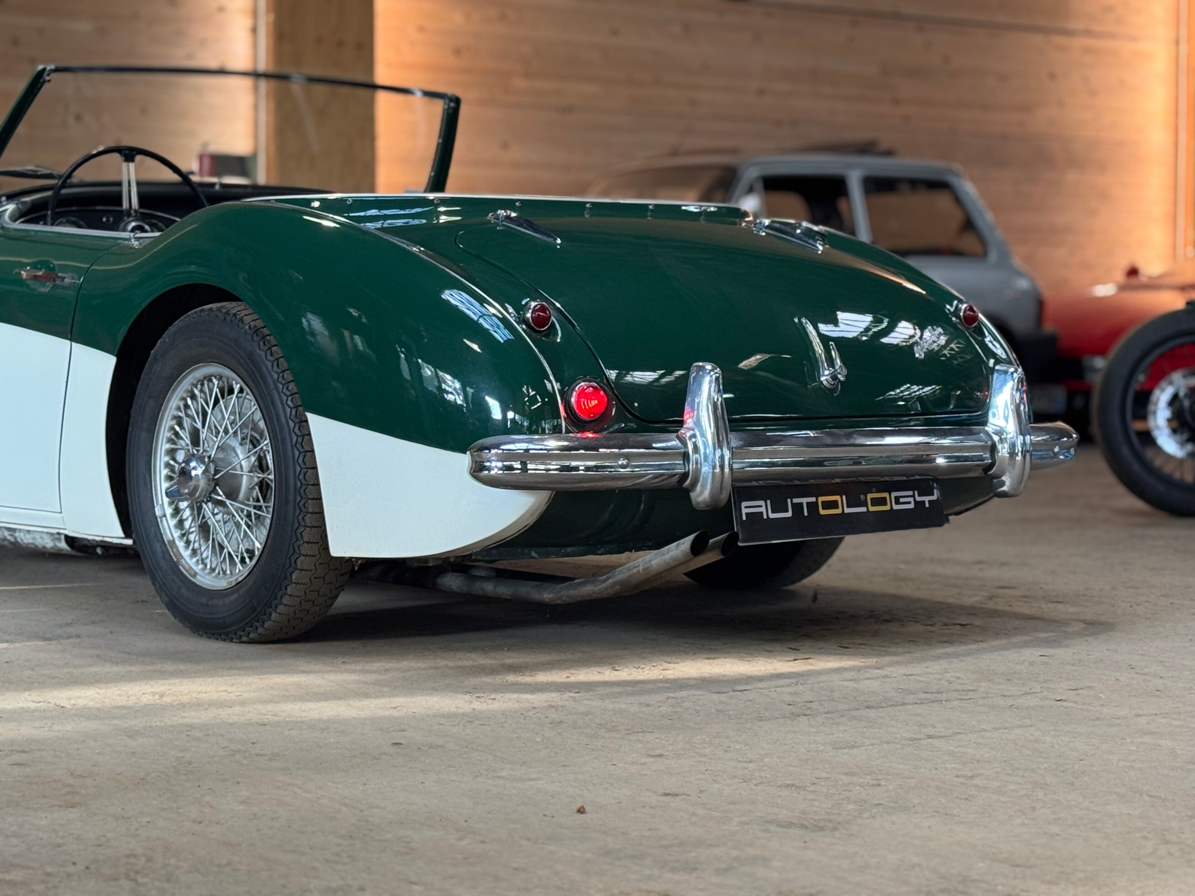 Austin Healey 100/6 BN4