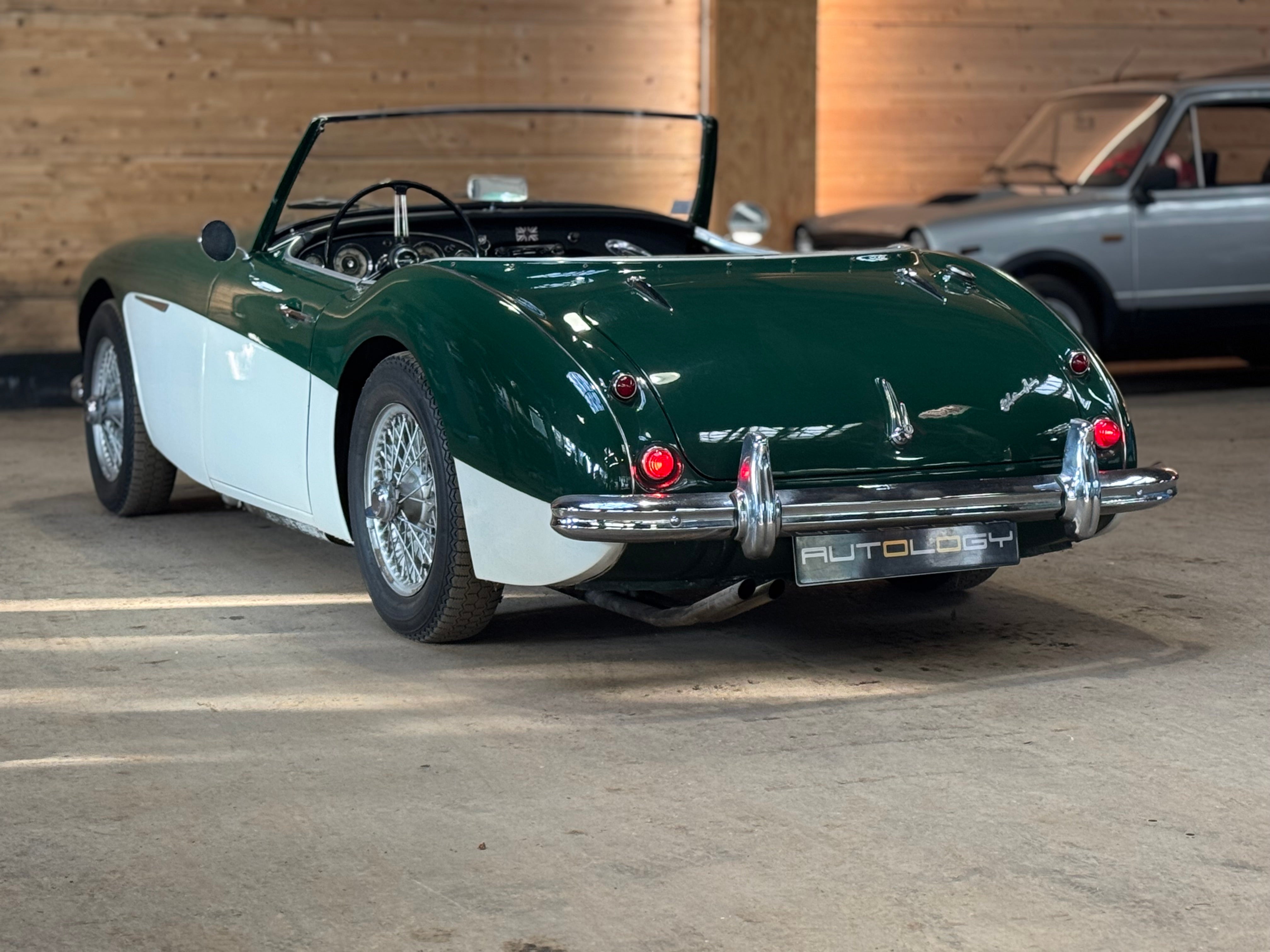 Austin Healey 100/6 BN4