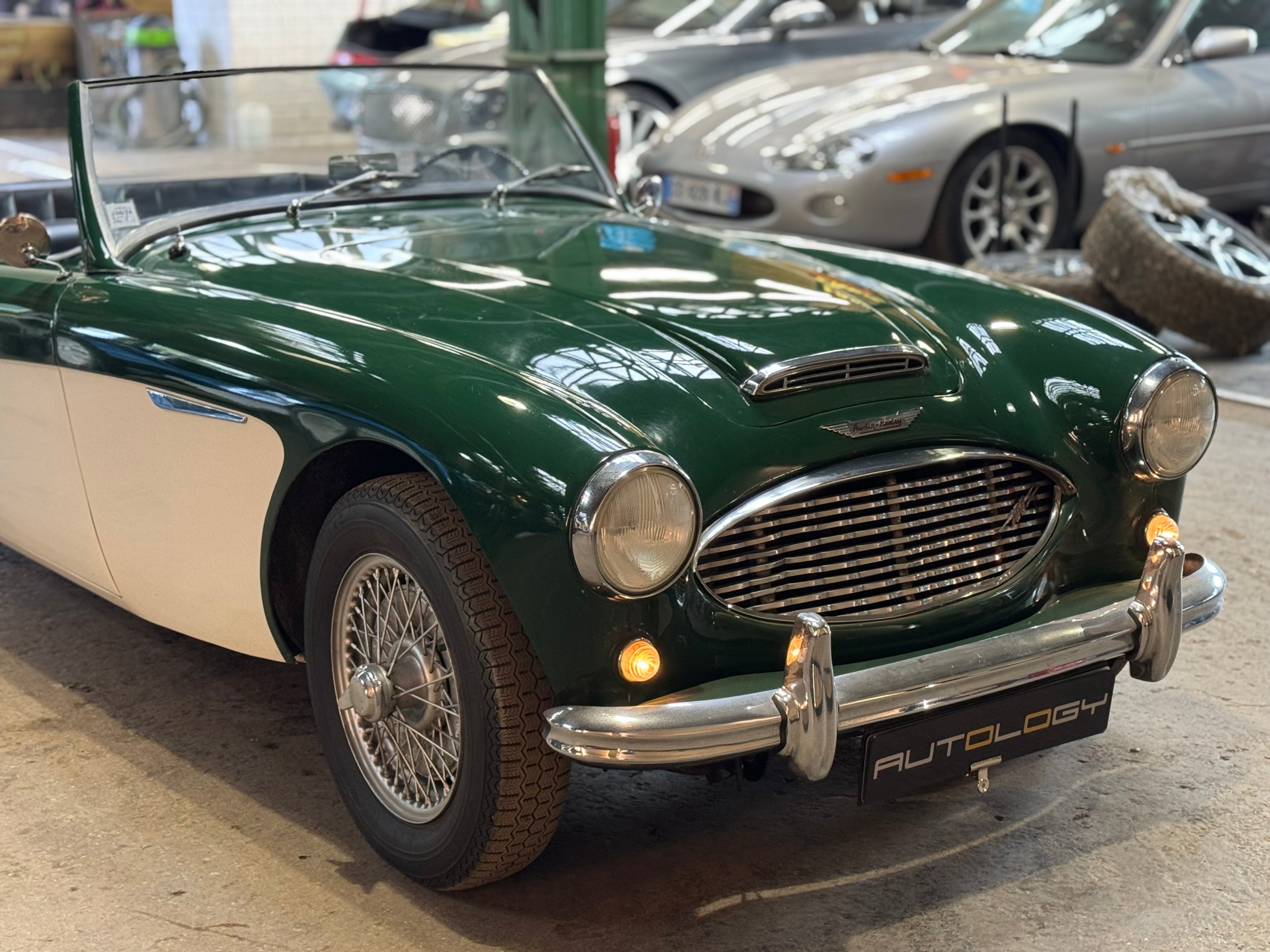 Austin Healey 100/6 BN4
