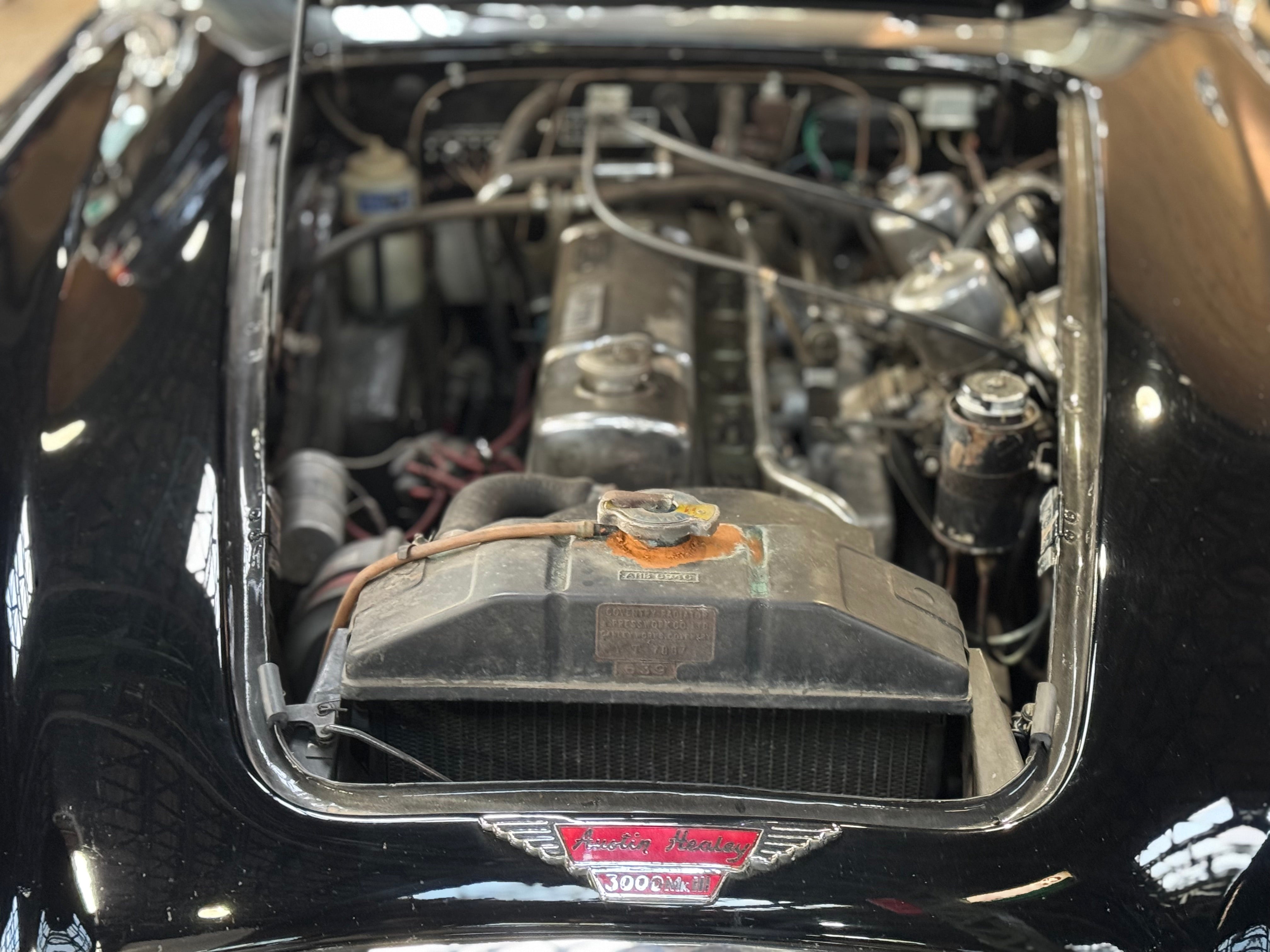Austin Healey 3000 Mk III BJ8
