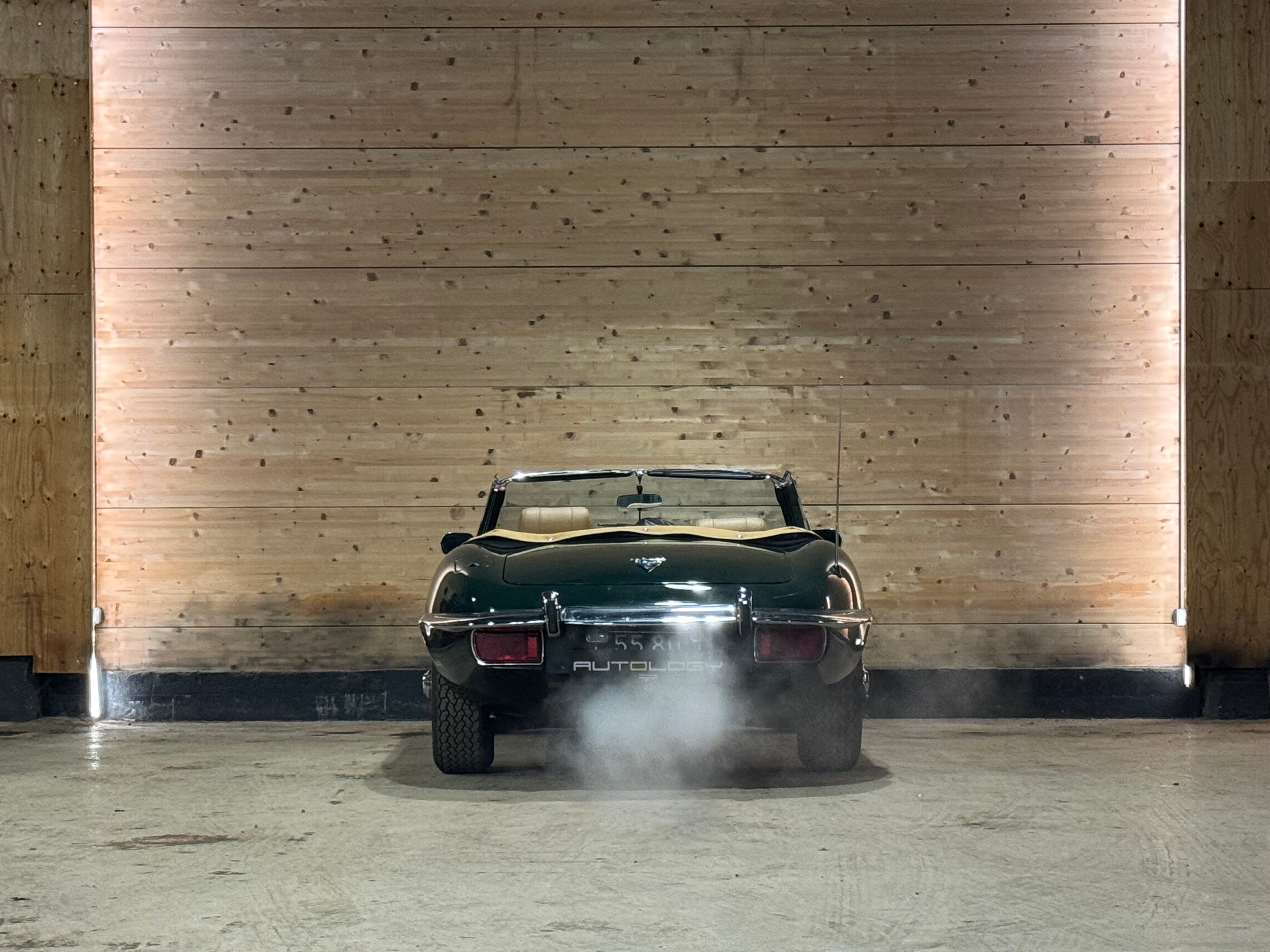 Jaguar Type E V12 Roadster BVM