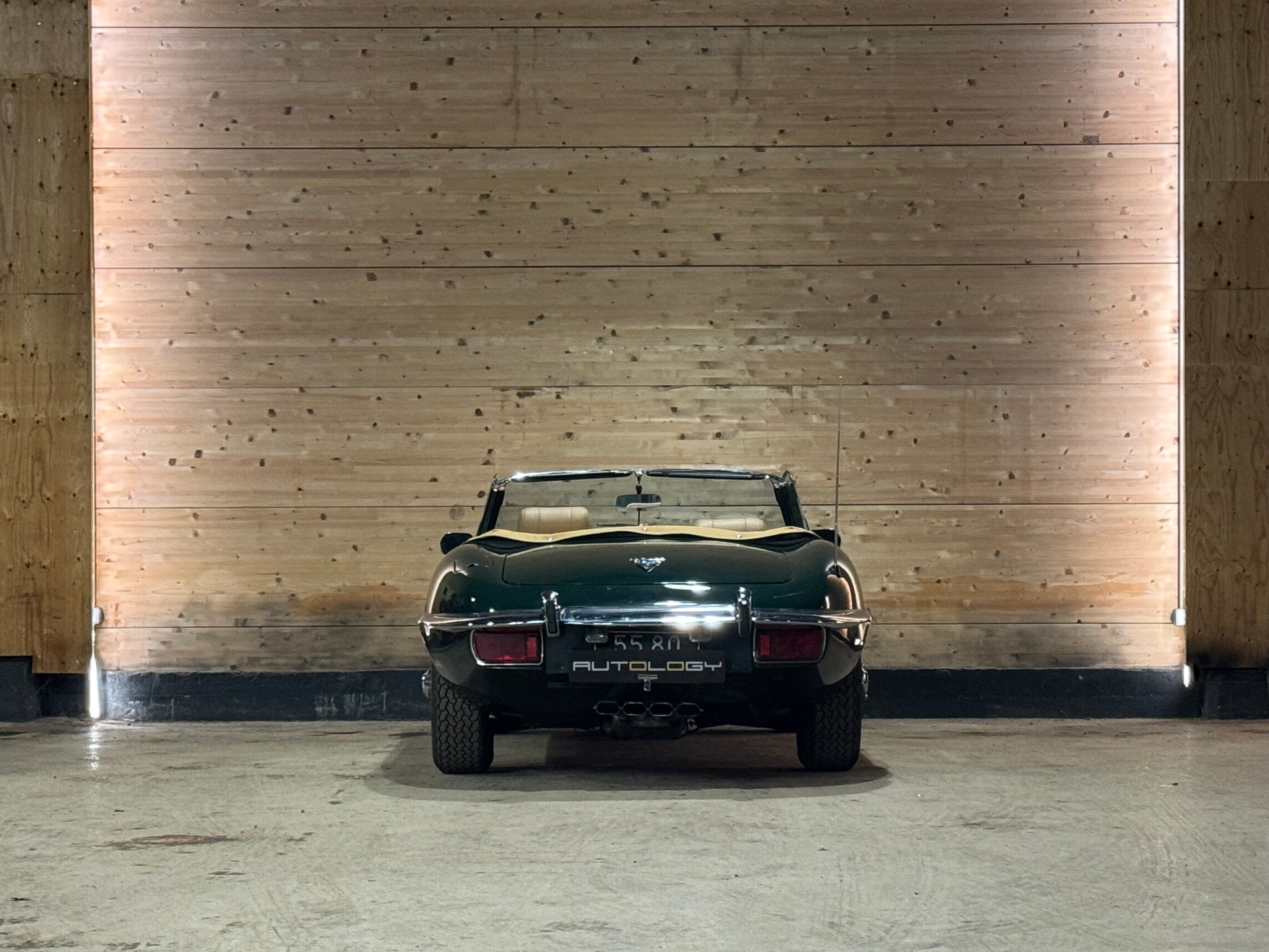 Jaguar Type E V12 Roadster BVM
