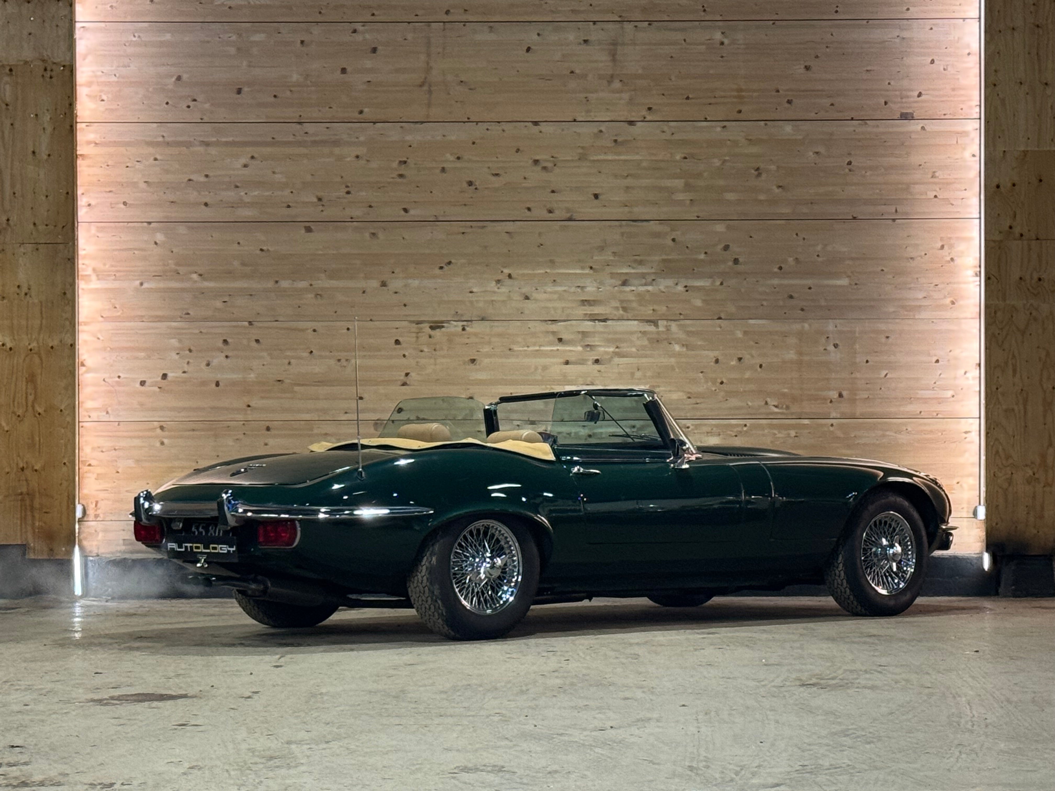 Jaguar Type E V12 Roadster BVM