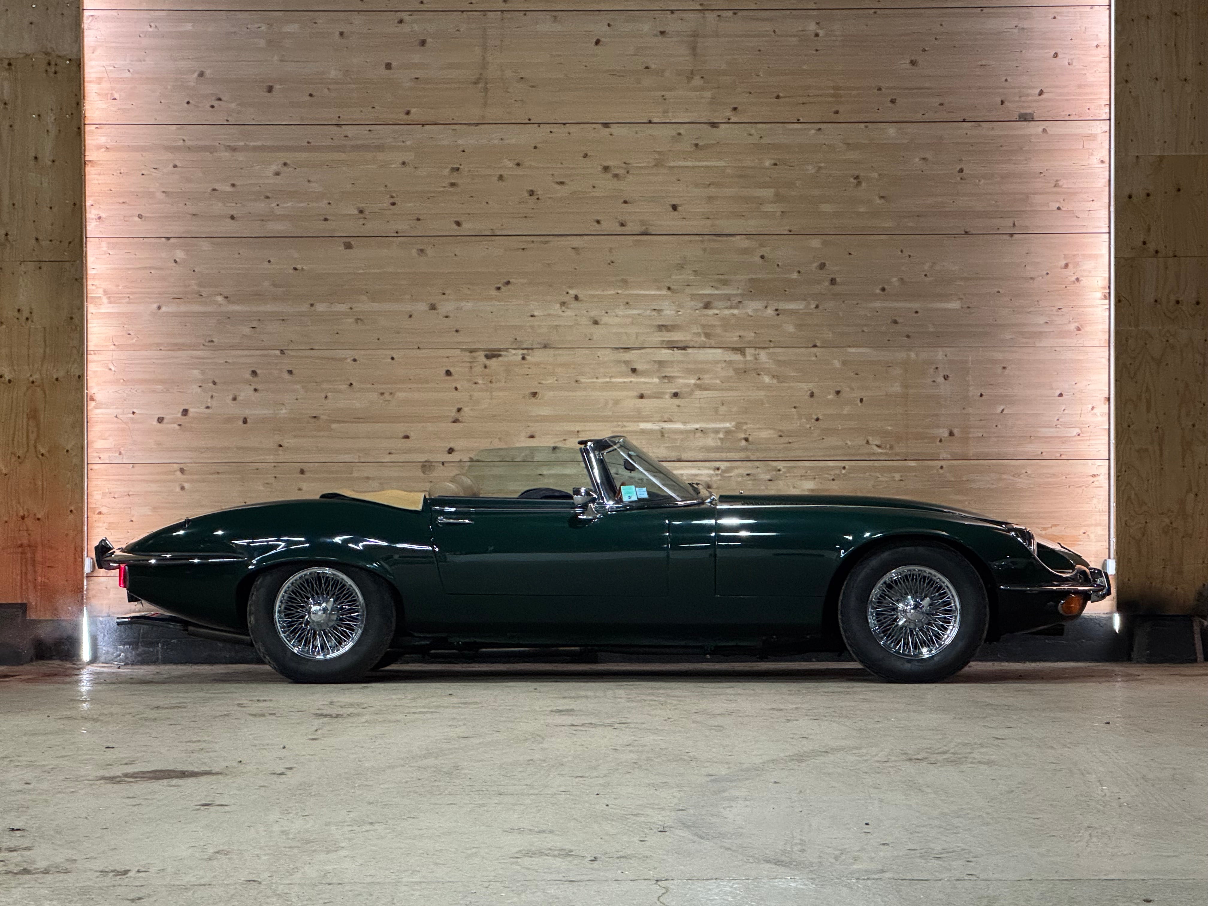 Jaguar Type E V12 Roadster BVM