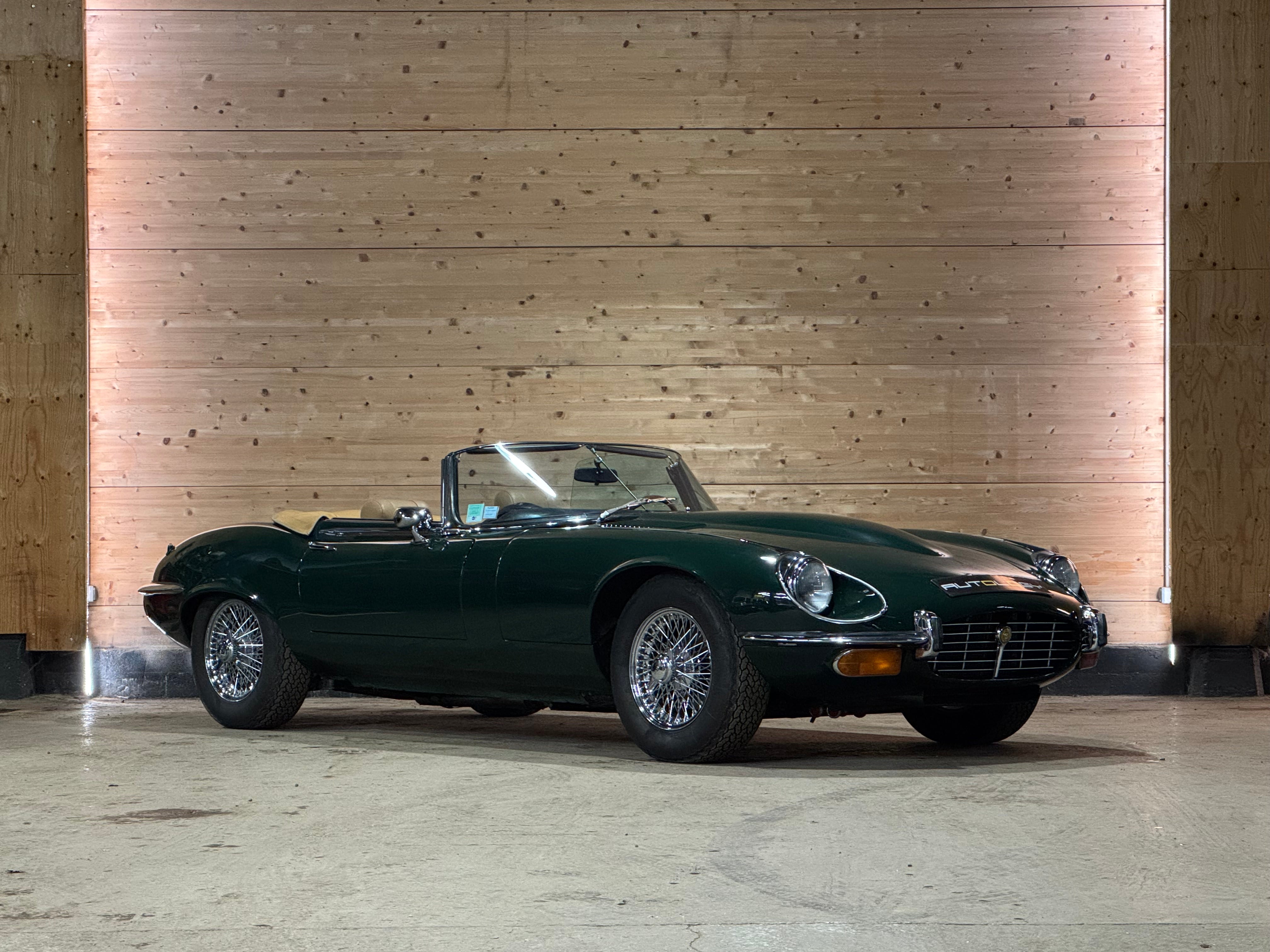 Jaguar Type E V12 Roadster BVM