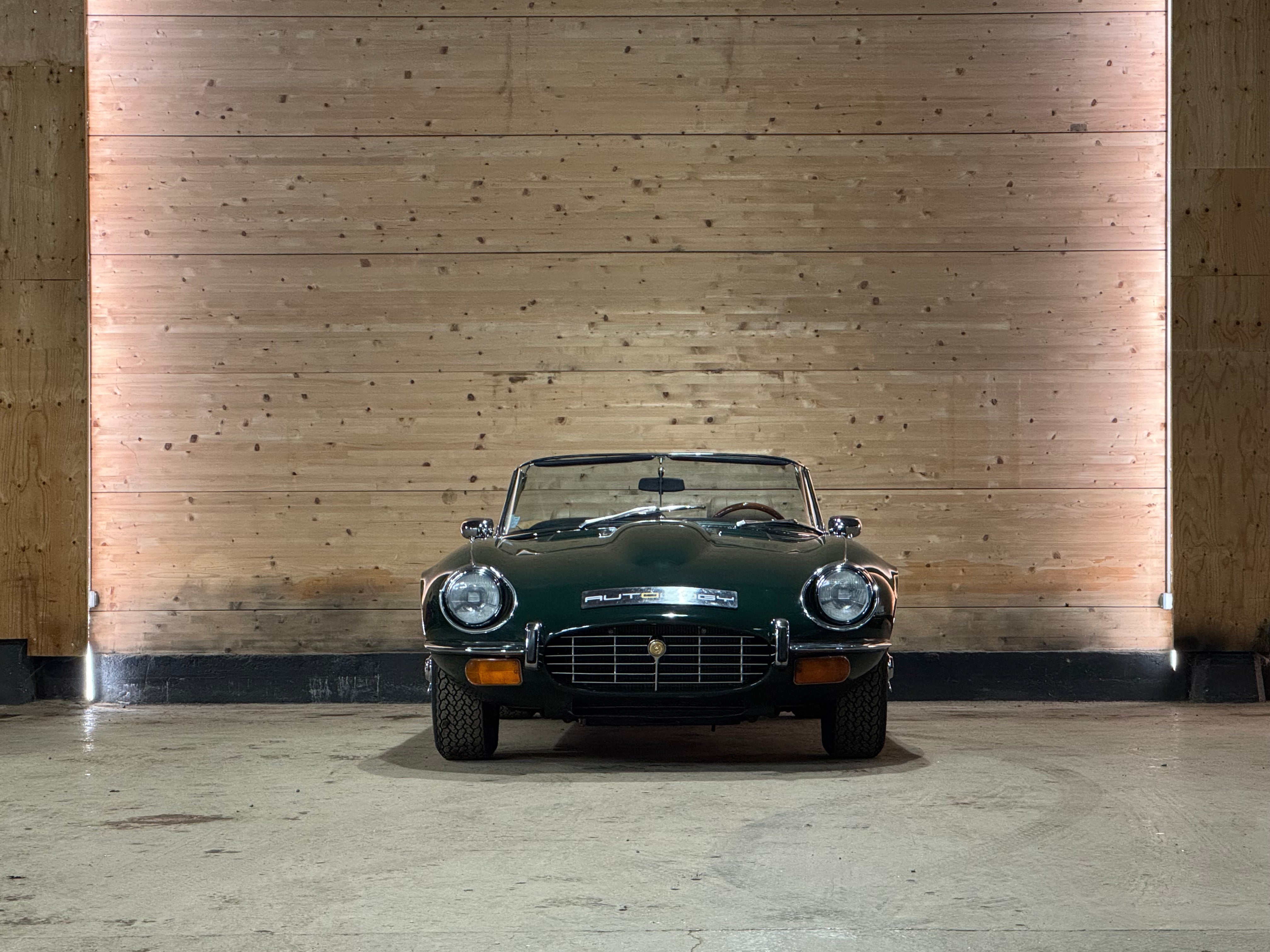 Jaguar Type E V12 Roadster BVM