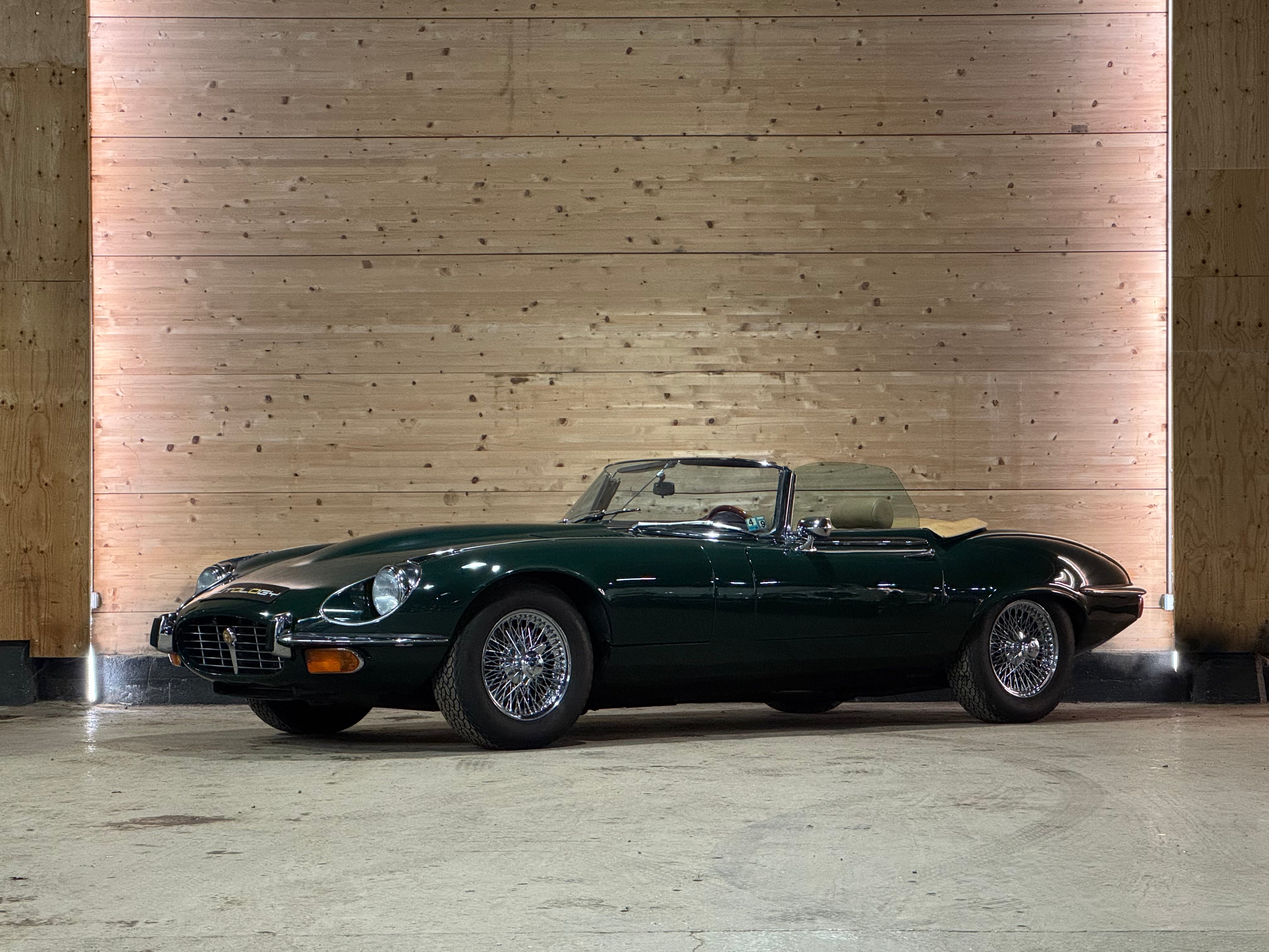 Jaguar Type E V12 Roadster BVM