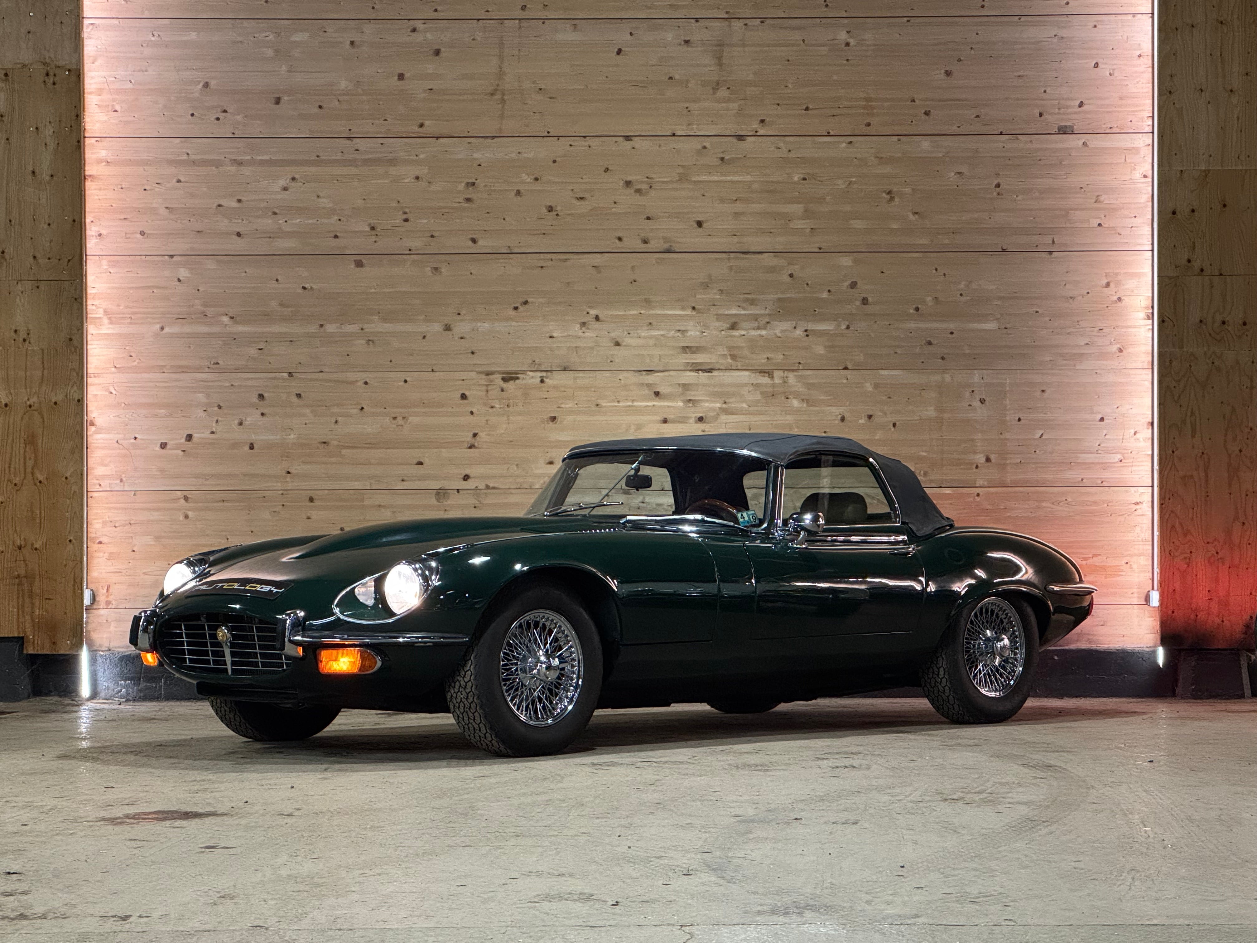 Jaguar Type E V12 Roadster BVM