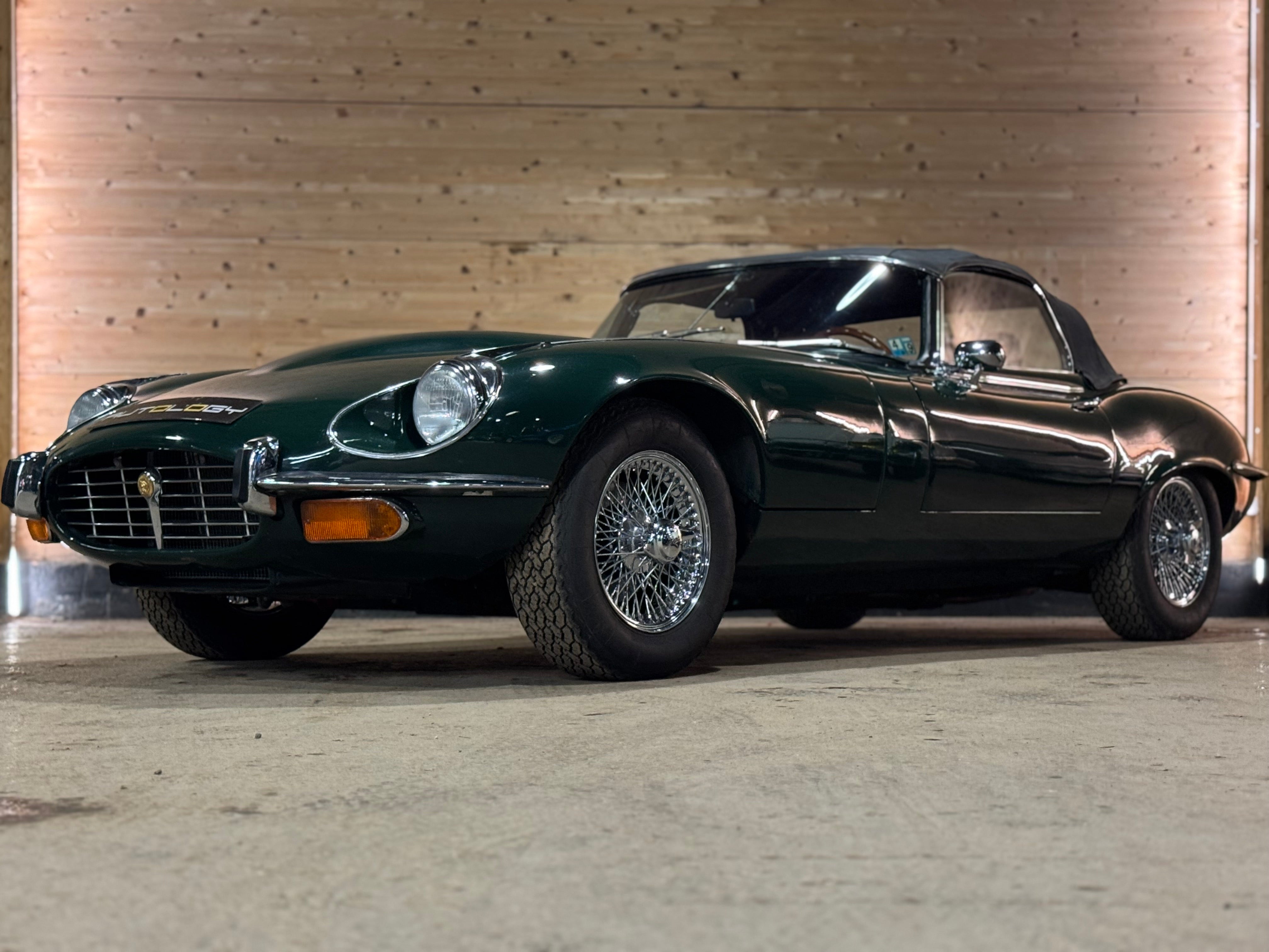 Jaguar Type E V12 Roadster BVM