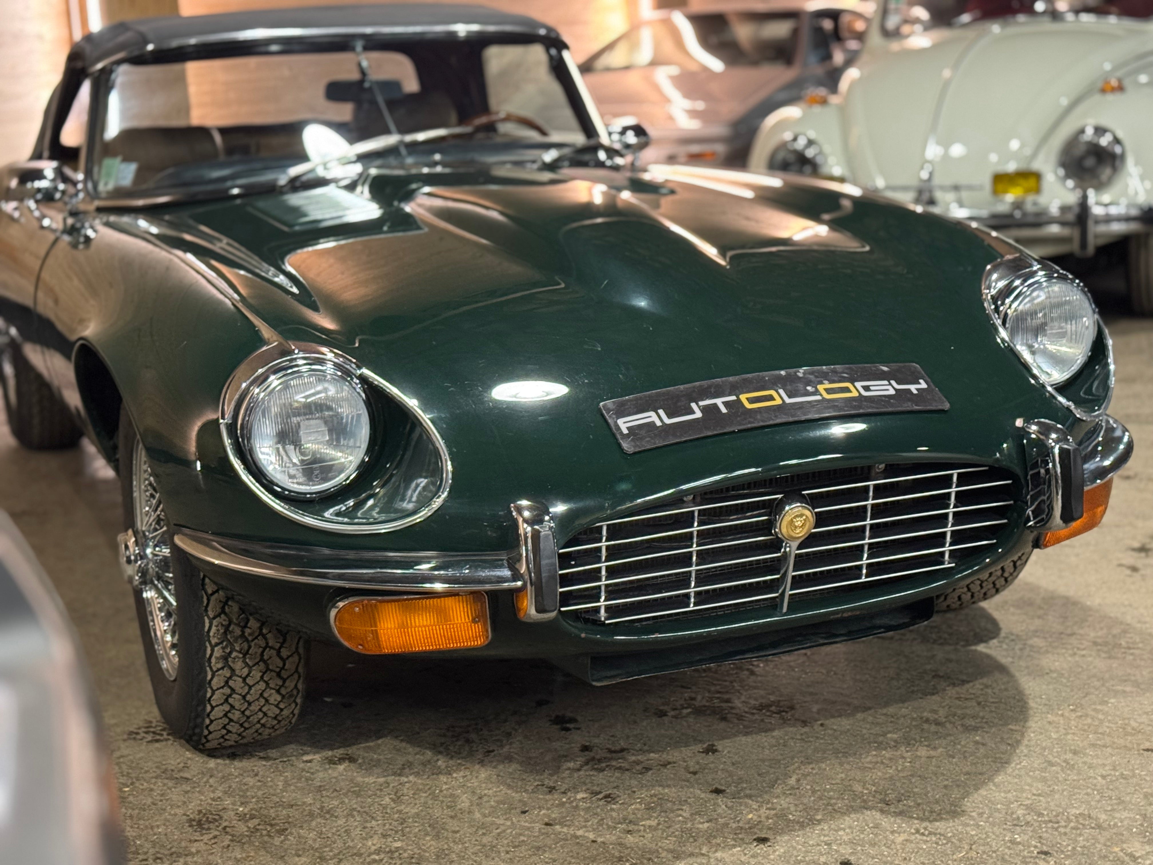 Jaguar Type E V12 Roadster BVM