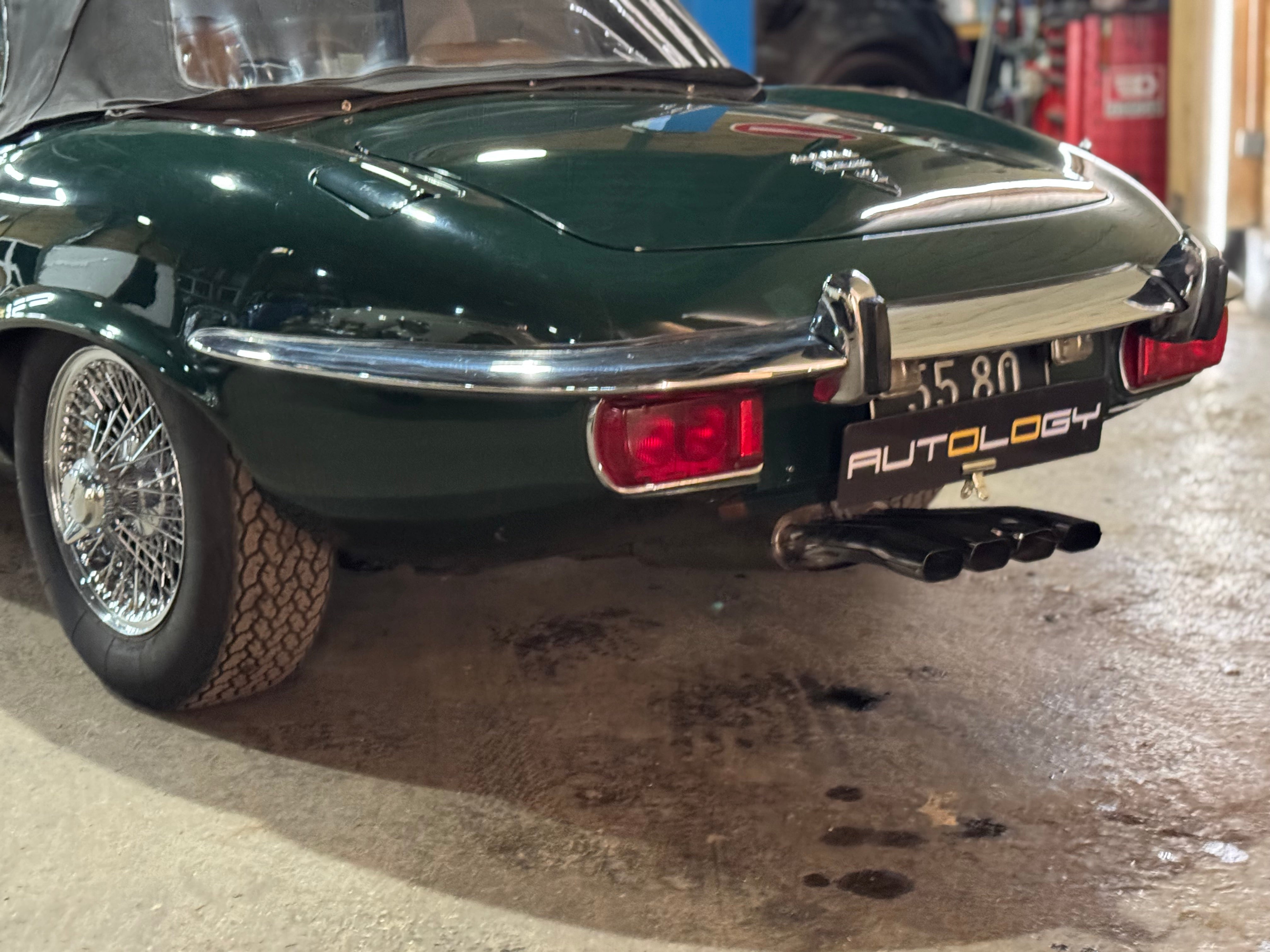 Jaguar Type E V12 Roadster BVM
