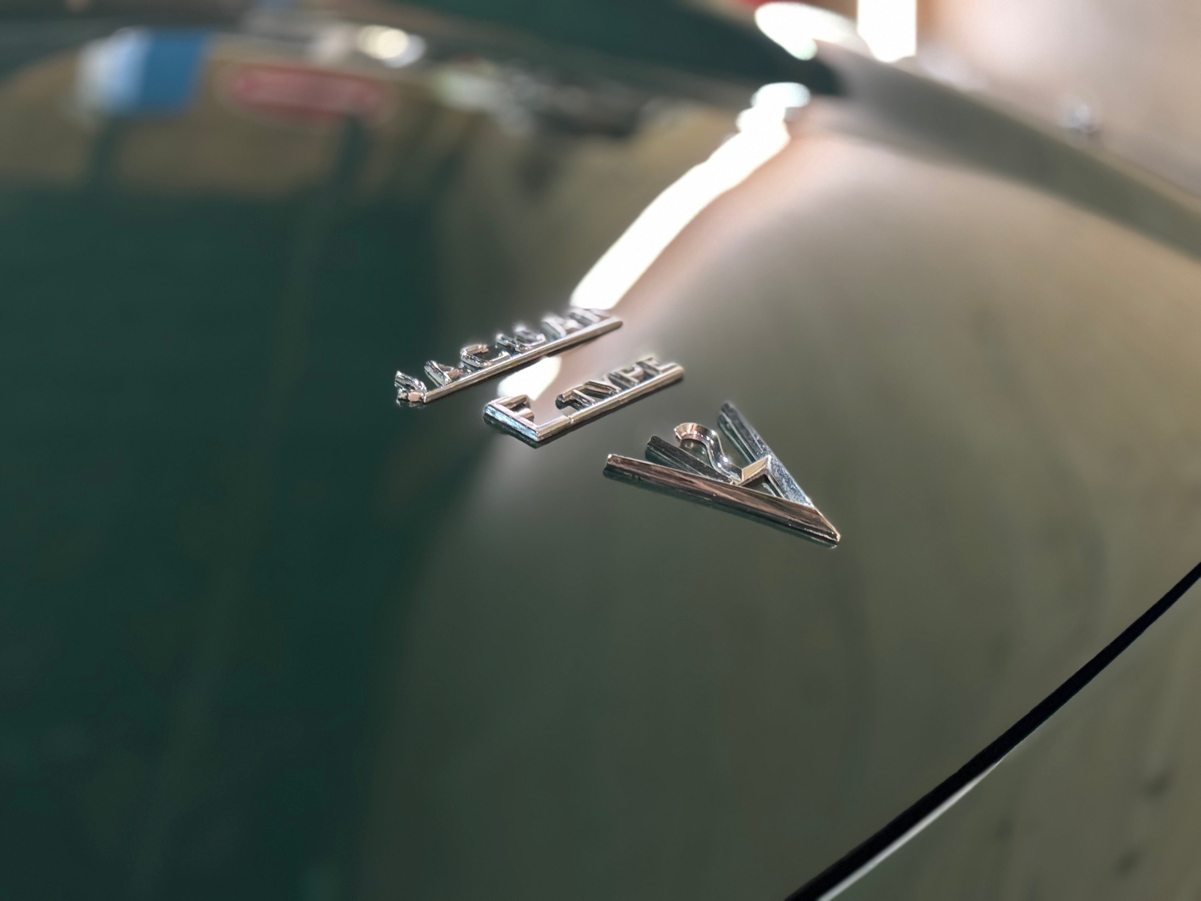 Jaguar Type E V12 Roadster BVM