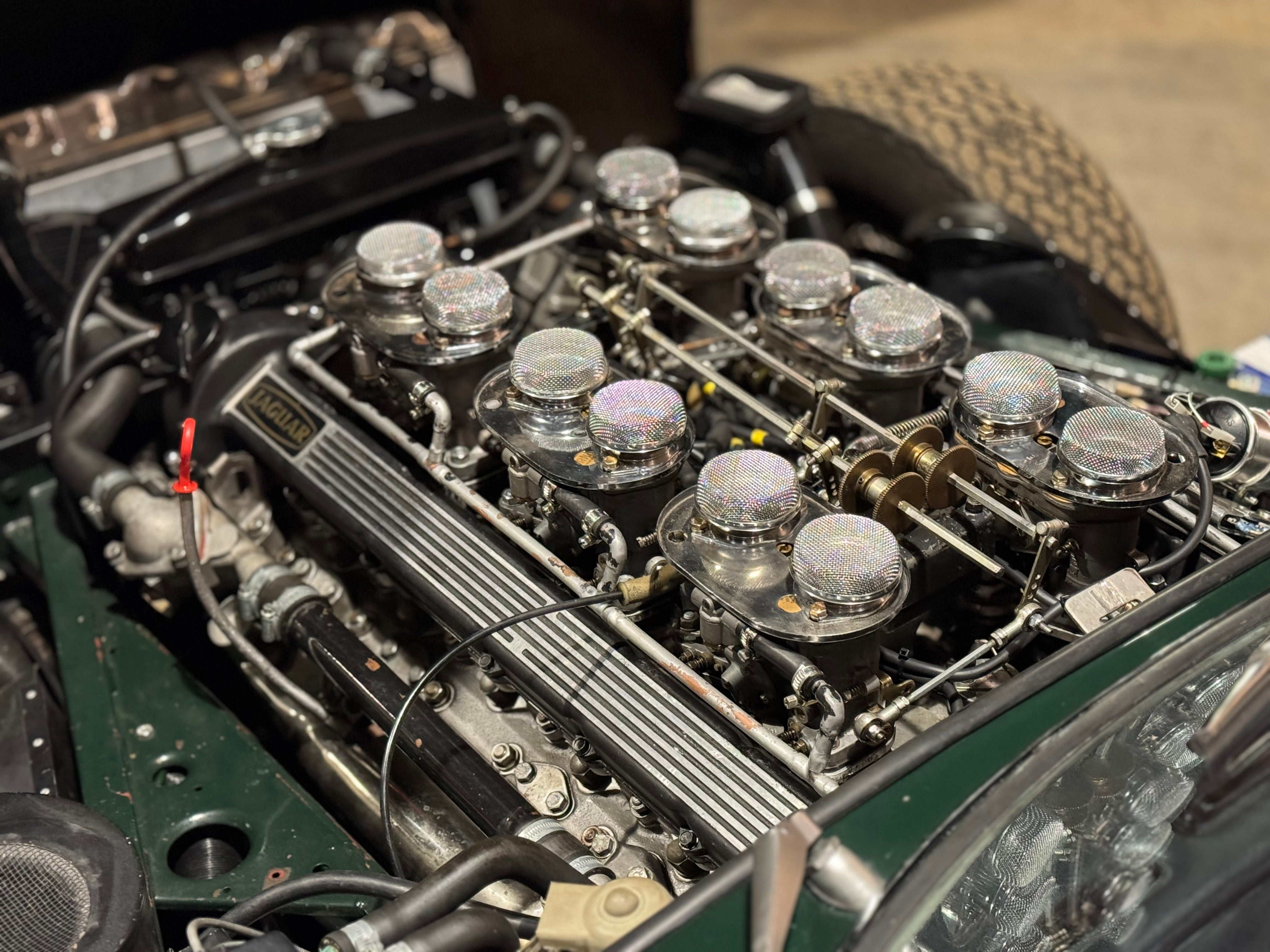 Jaguar Type E V12 Roadster BVM
