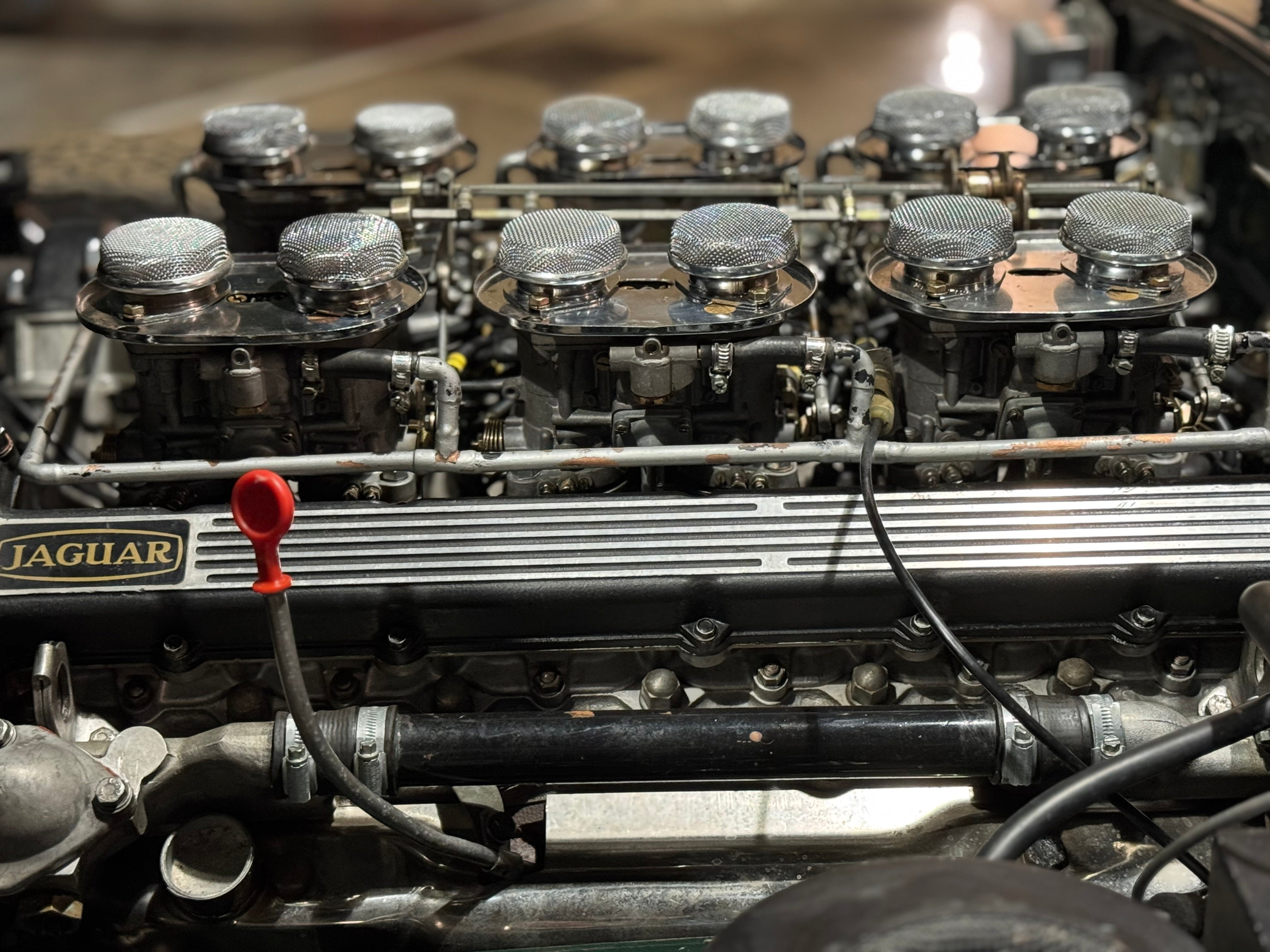 Jaguar Type E V12 Roadster BVM