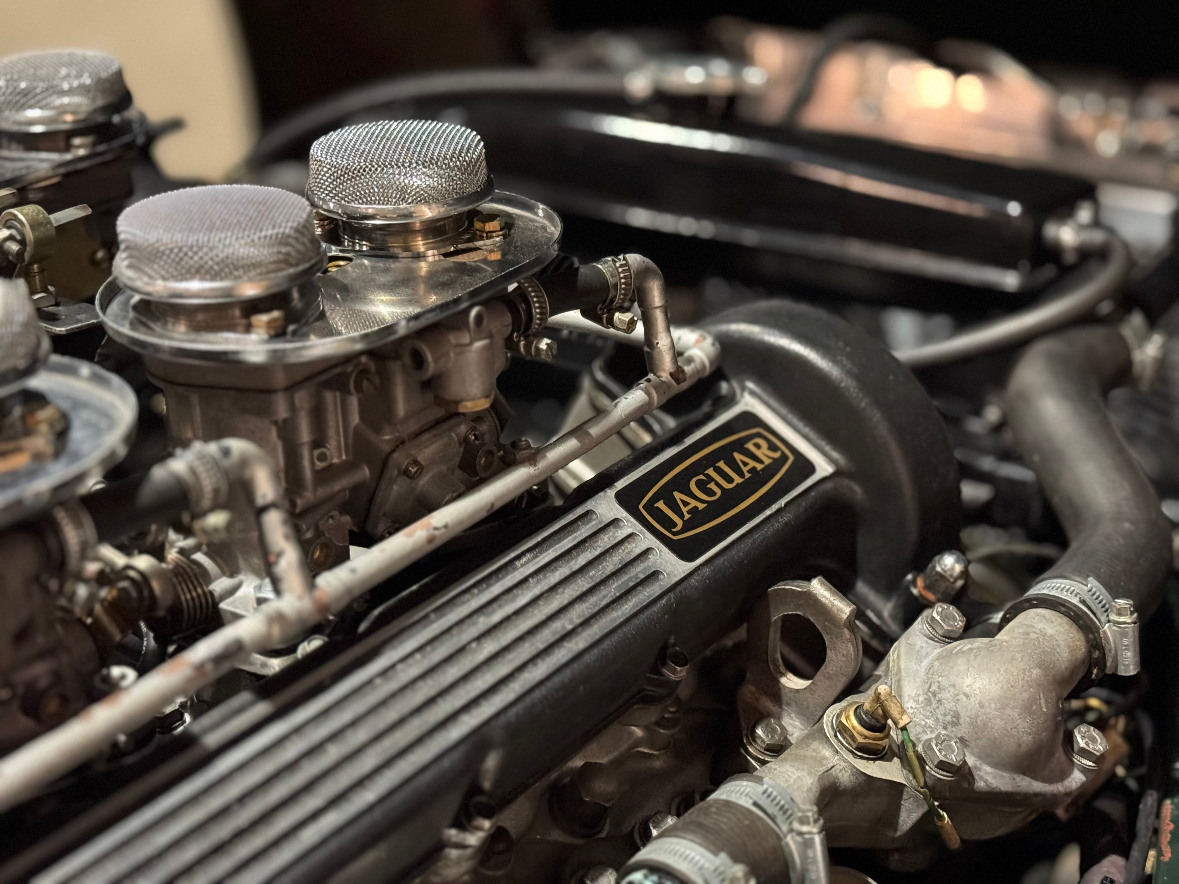 Jaguar Type E V12 Roadster BVM