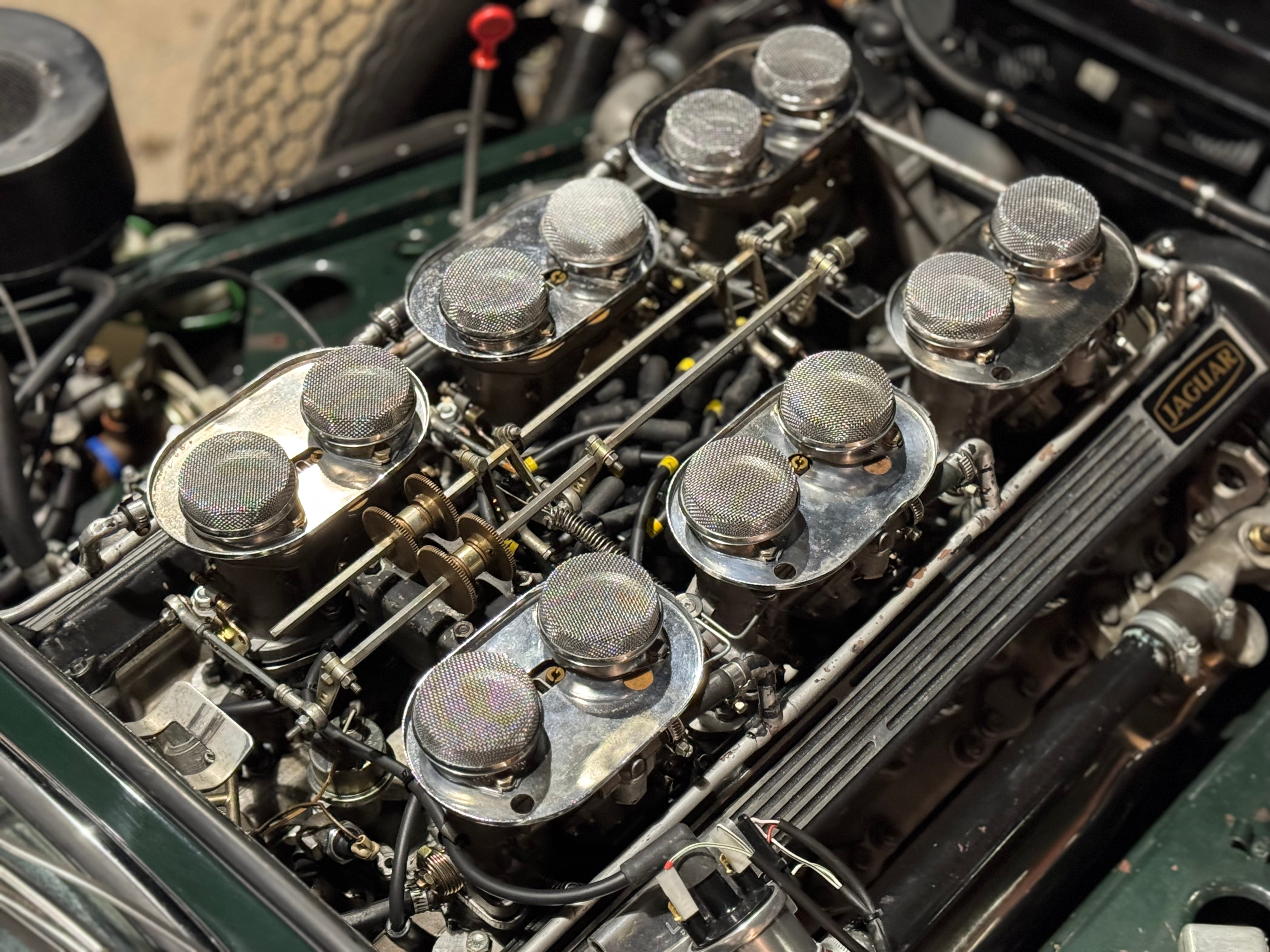 Jaguar Type E V12 Roadster BVM