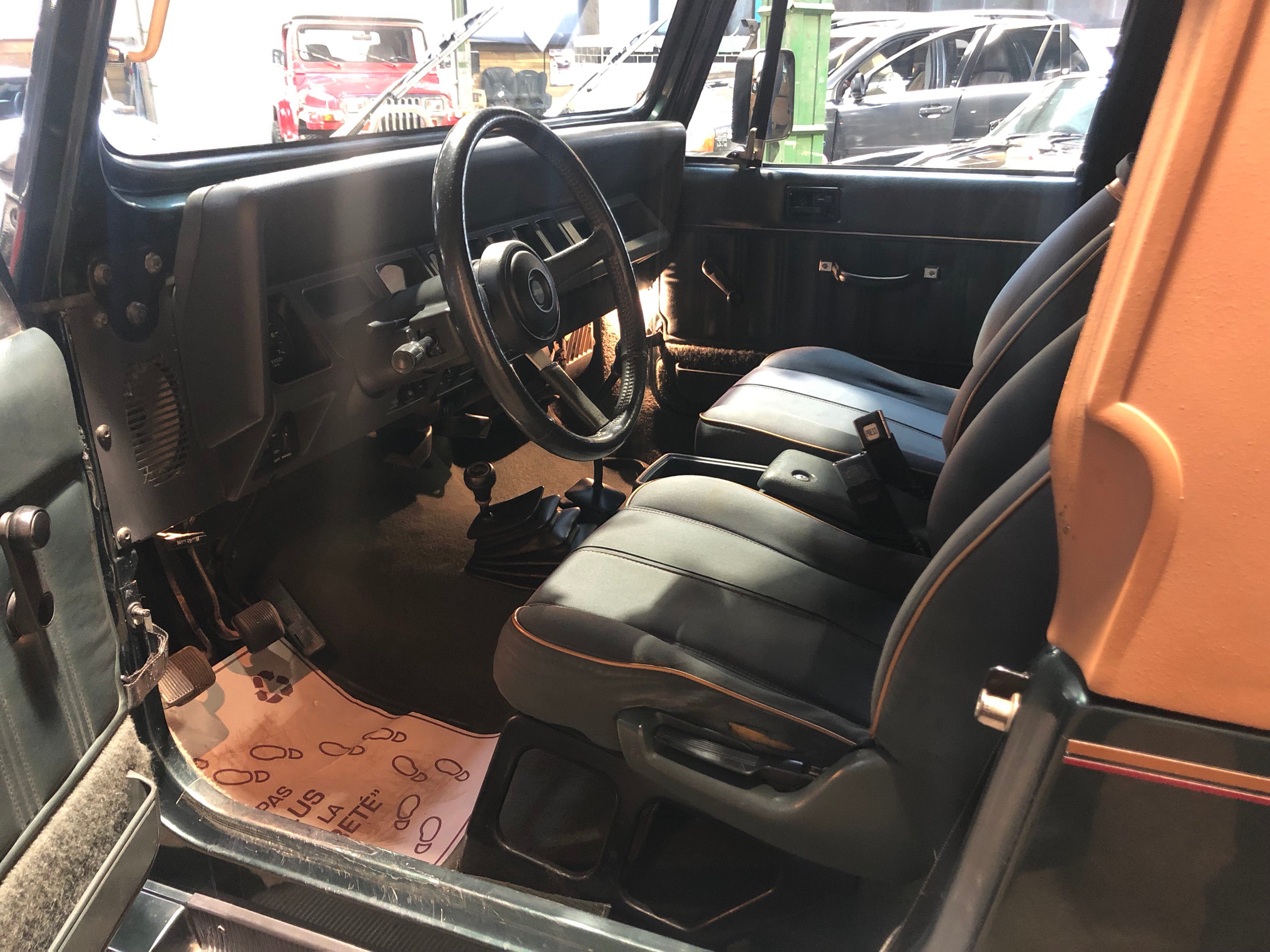 Jeep Wrangler YJ 4.0 Sahara