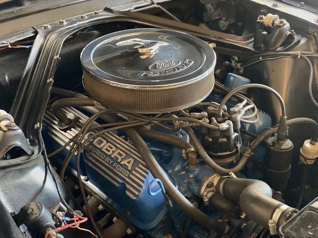 Ford Mustang Fastback V8 289 BVA